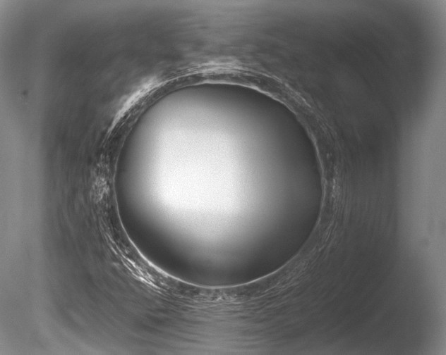X0000086041400200703301027