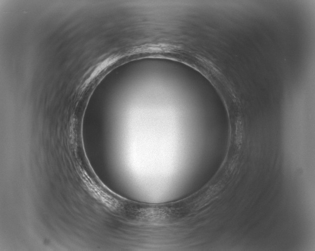 X0000086041404200703301027
