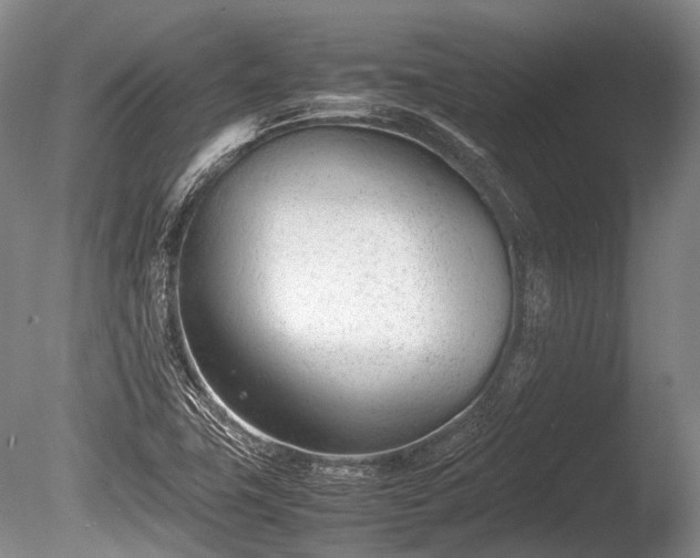 X0000086041411200703301027