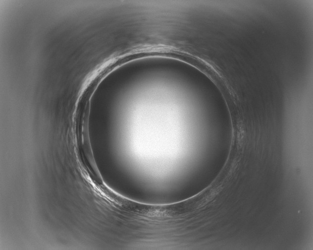 X0000086041414200703301027