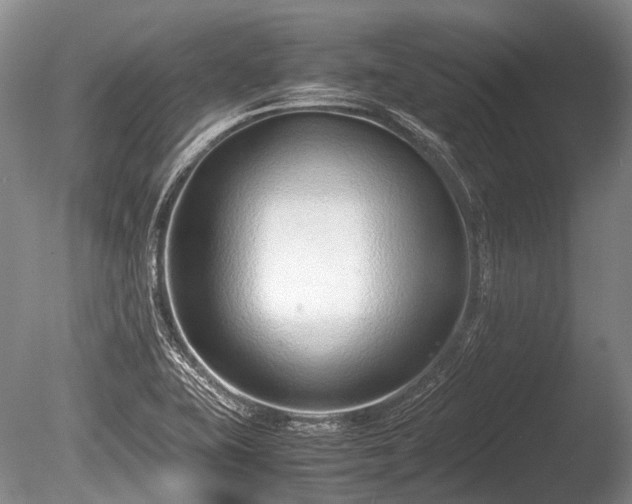 X0000086041415200703301027