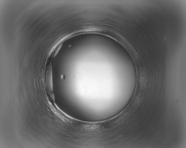 X0000086041417200703301027