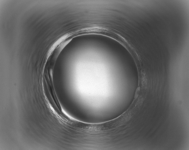X0000086041418200703301027