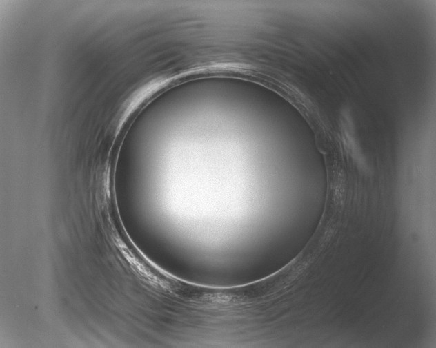 X0000086041420200703301027