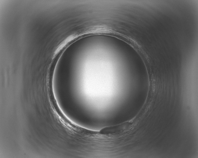 X0000086041422200703301027