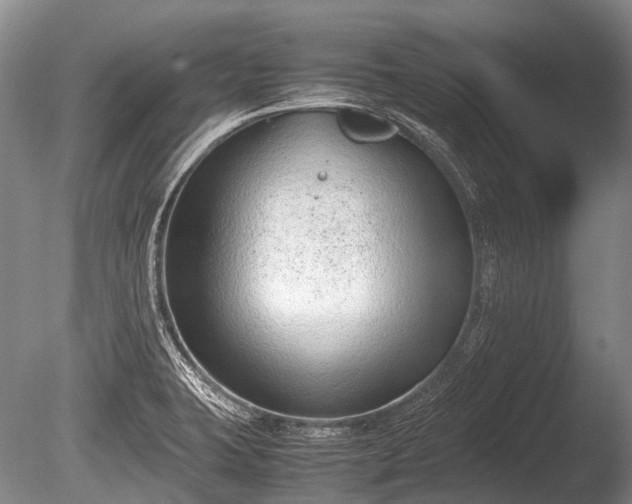 X0000086041423200703301027