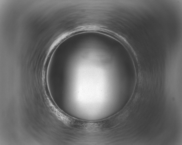 X0000086041424200703301027