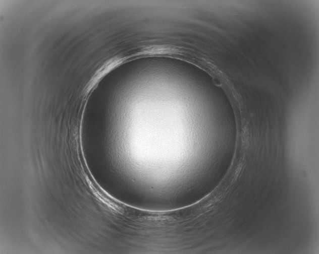 X0000086041425200703301027