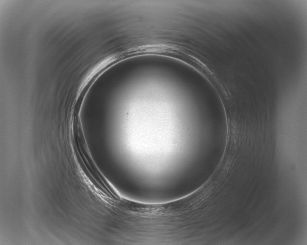 X0000086041426200703301027