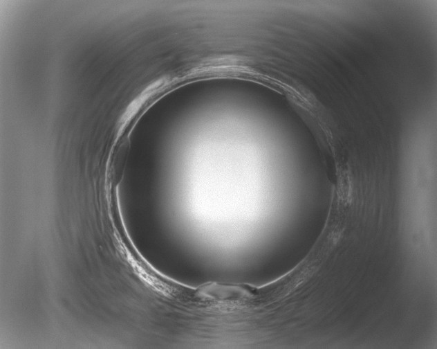 X0000086041430200703301027