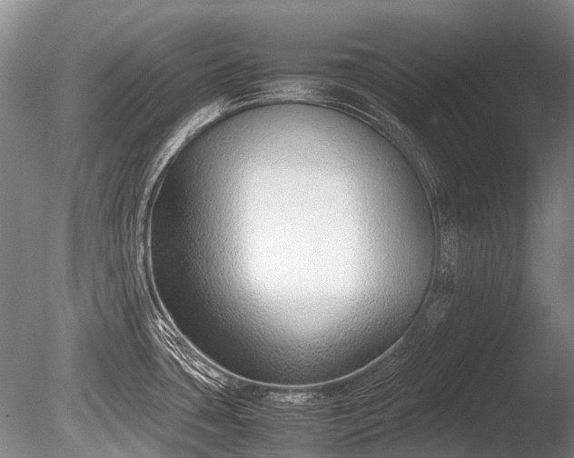 X0000086041435200703301027