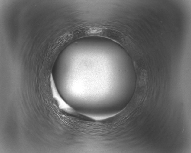 X0000086041441200703301027