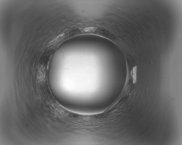 X0000086041443200703301027