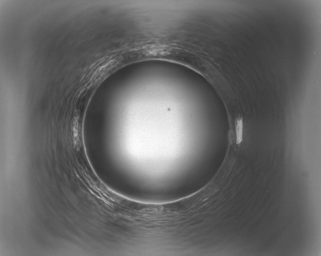 X0000086041444200703301027
