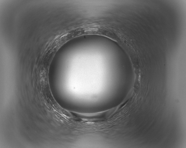 X0000086041445200703301027