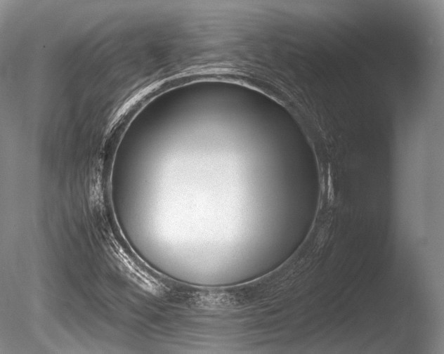 X0000086041452200703301027
