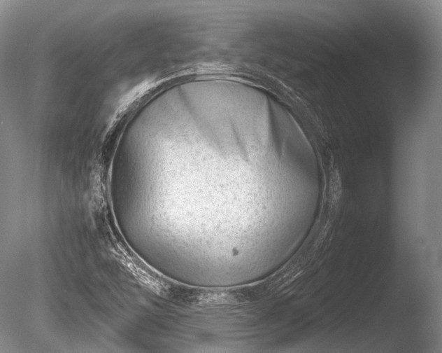 X0000086041454200703301027