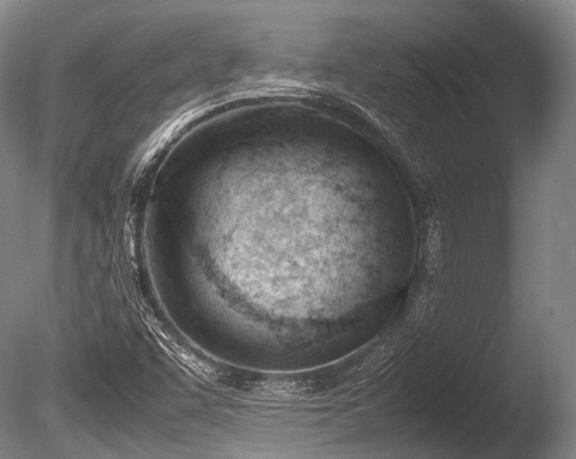 X0000086041455200703301027