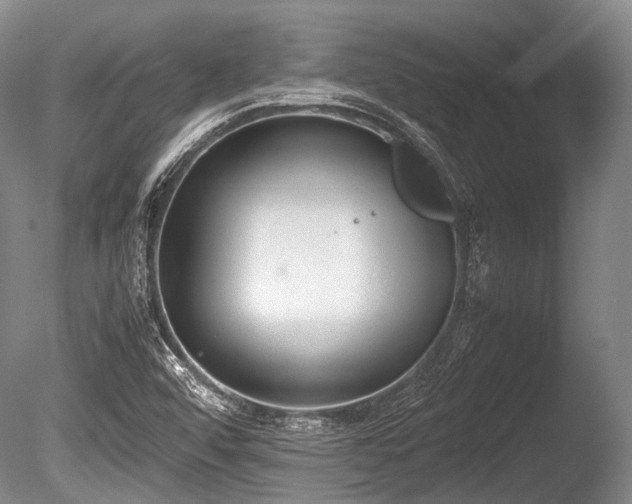 X0000086041456200703301027