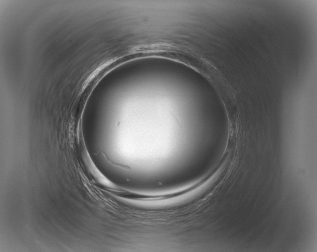 X0000086041457200703301026