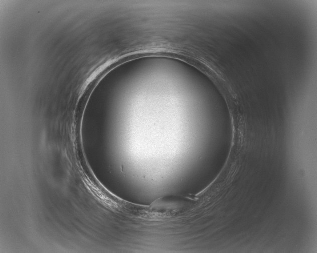 X0000086041460200703301026