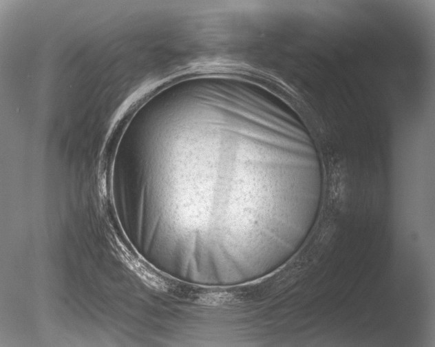 X0000086041462200703301026