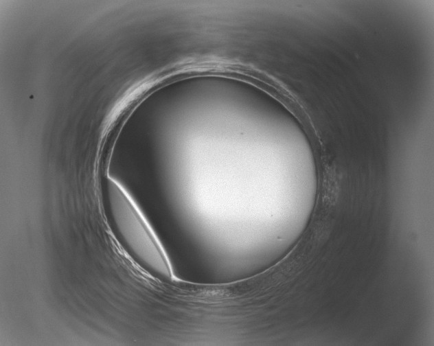 X0000086041464200703301026