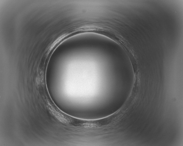 X0000086041465200703301026