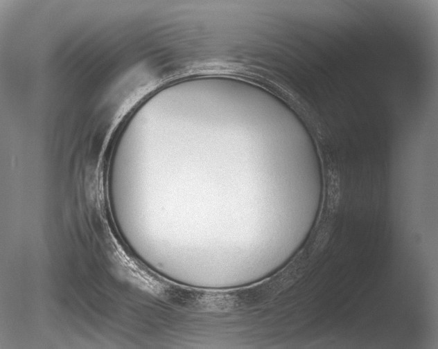 X0000086041466200703301026