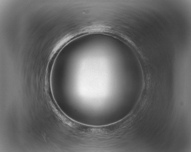 X0000086041469200703301026