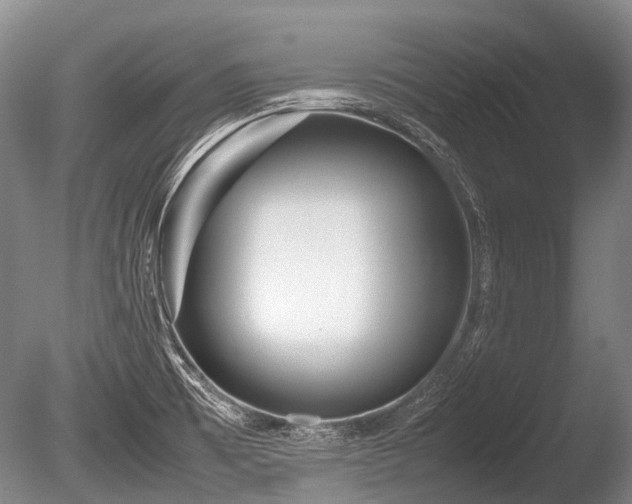 X0000086041473200703301026