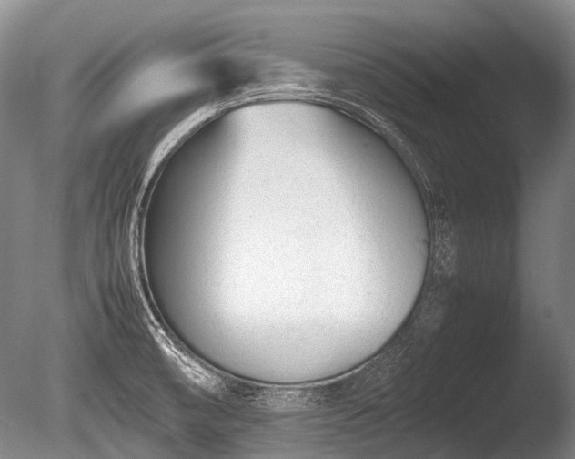 X0000086041474200703301026