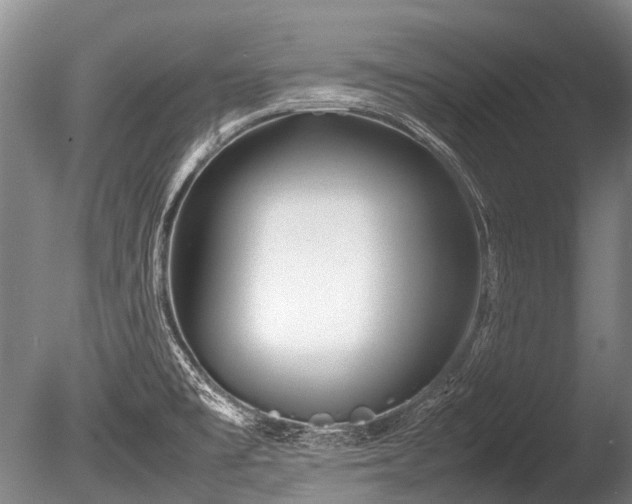 X0000086041477200703301026
