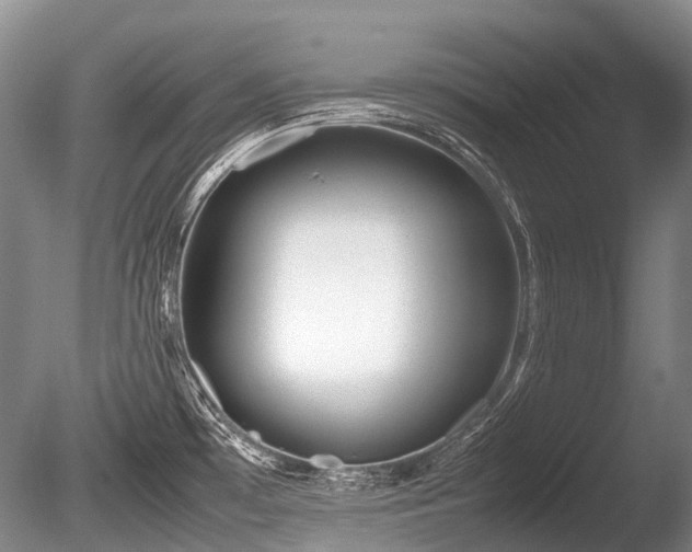 X0000086041481200703301026