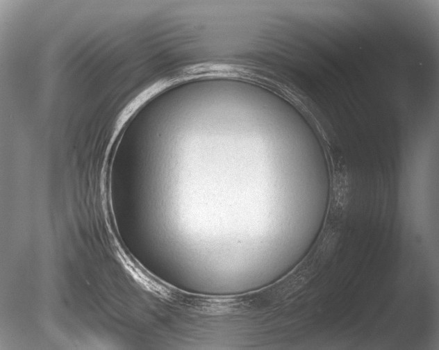 X0000086041482200703301026