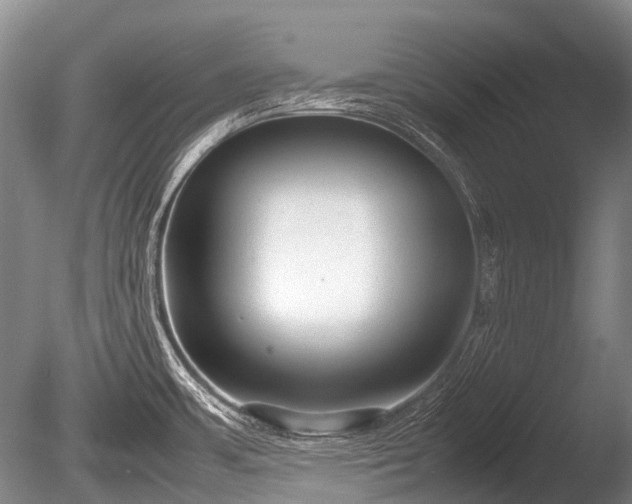 X0000086041483200703301026