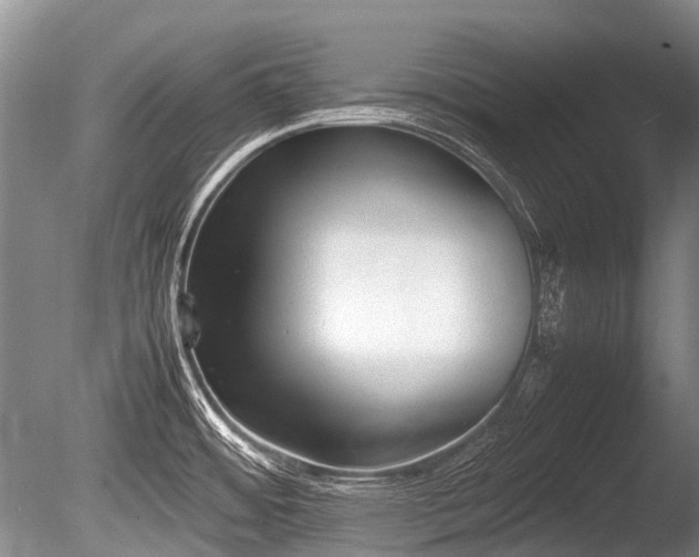 X0000086041484200703301026