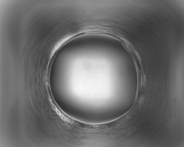 X0000086041485200703301026