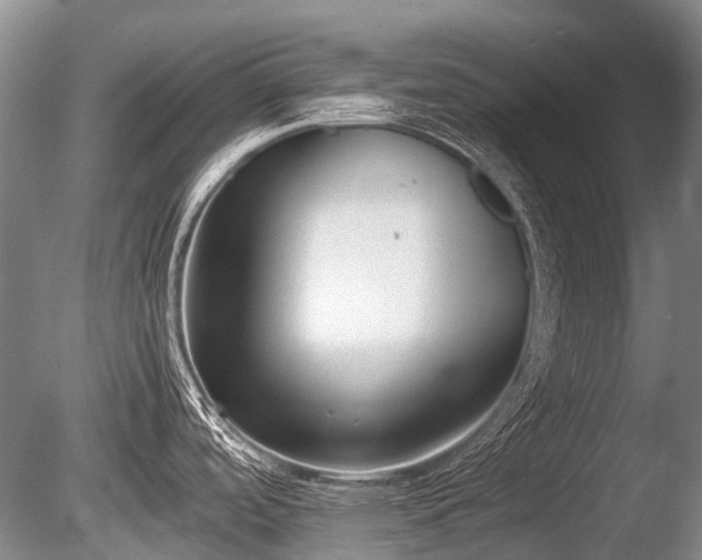 X0000086041488200703301026
