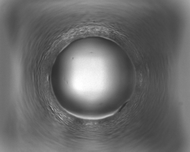 X0000086041489200703301025