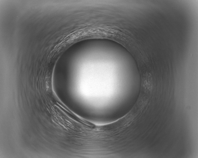 X0000086041490200703301025