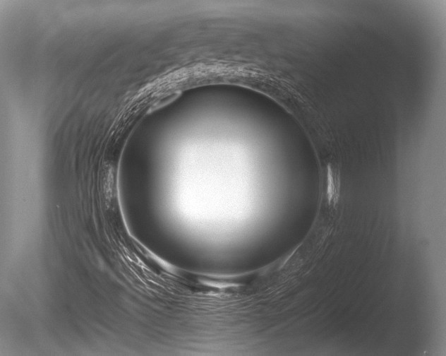 X0000086041492200703301025