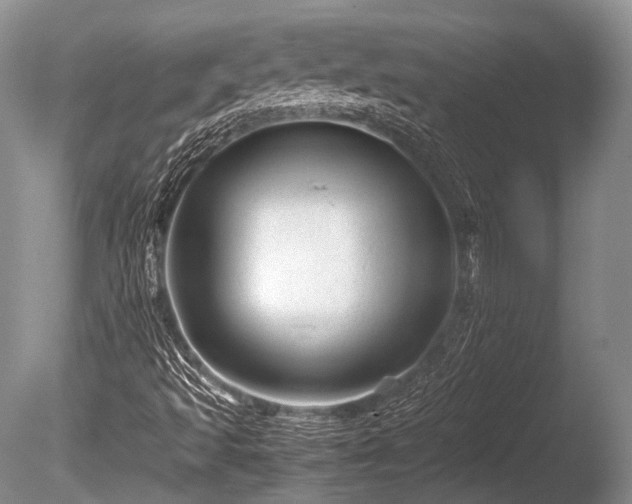 X0000086041493200703301025
