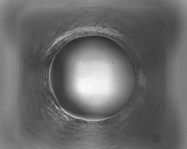 X0000086041494200703301025