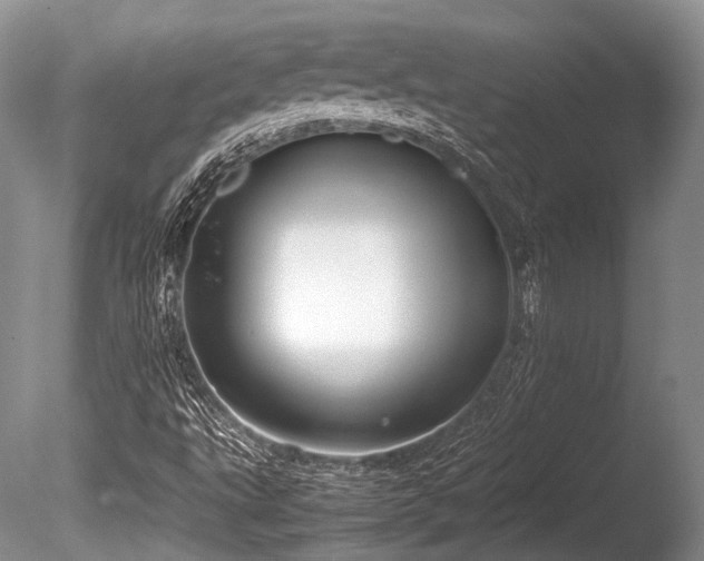 X0000086041495200703301025