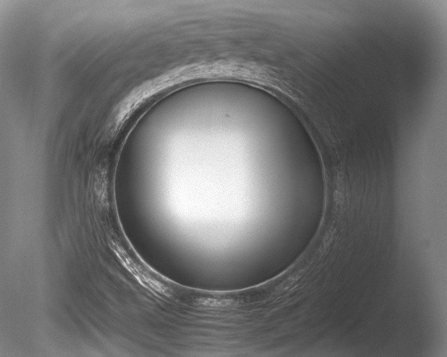 X0000086041499200703301025