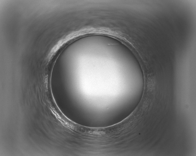 X0000086041503200703301025
