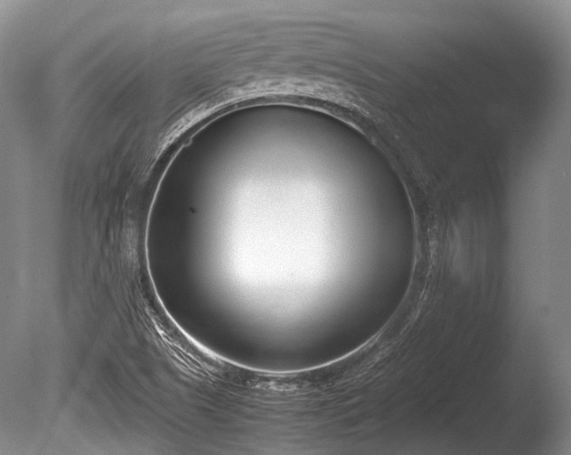 X0000086041505200703301025