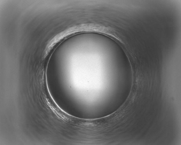 X0000086041507200703301025