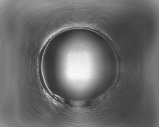 X0000086041508200703301025